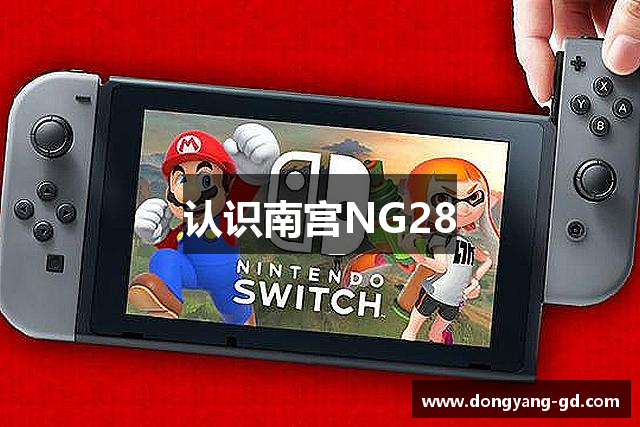 认识南宫NG28